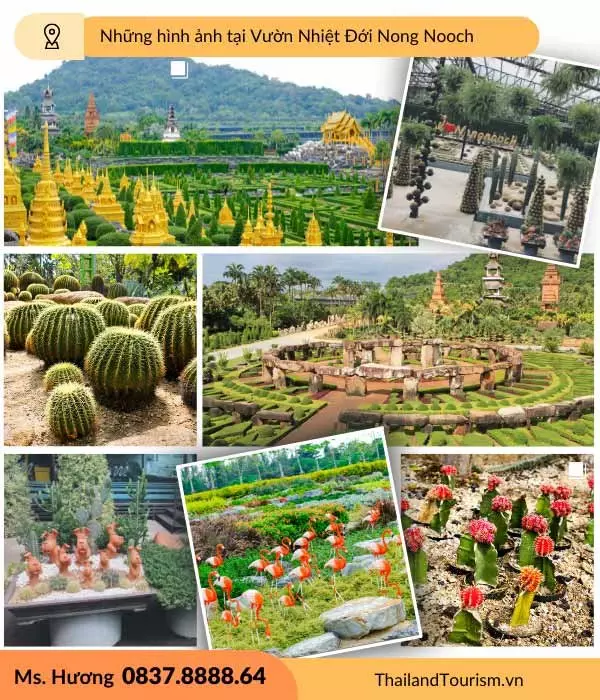 Tour du lịch Thái Lan - Đoàn chụp hình trong khuôn viên Nong Nooch