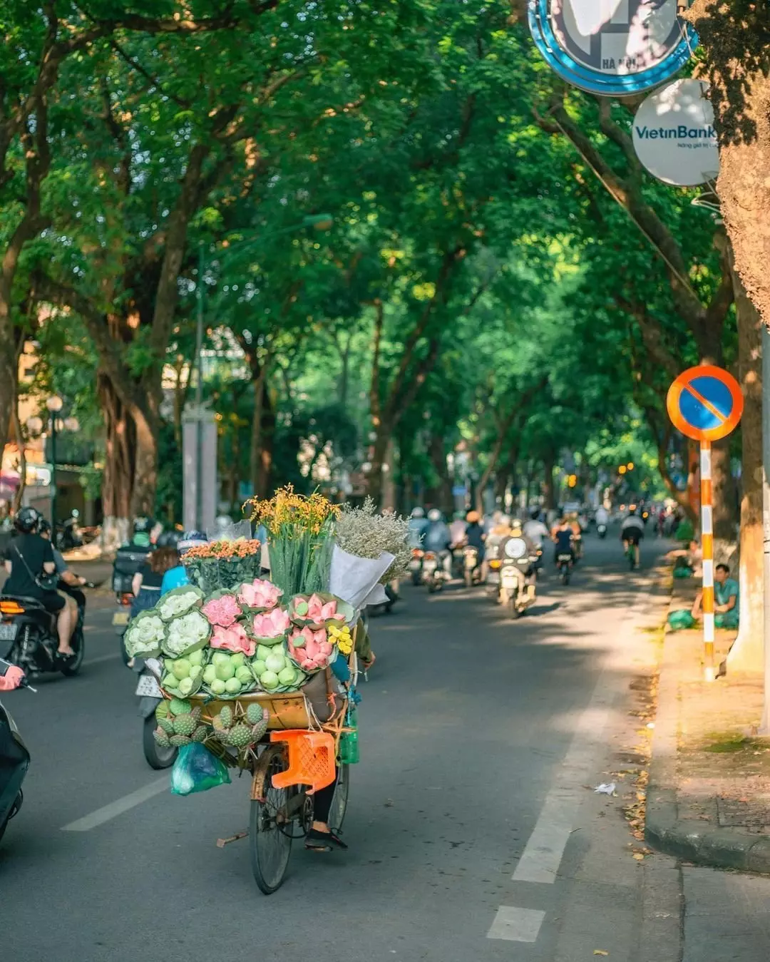 Northern Vietnam