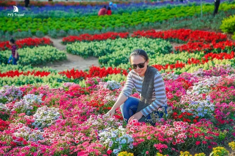 Mộc Châu Happy Land