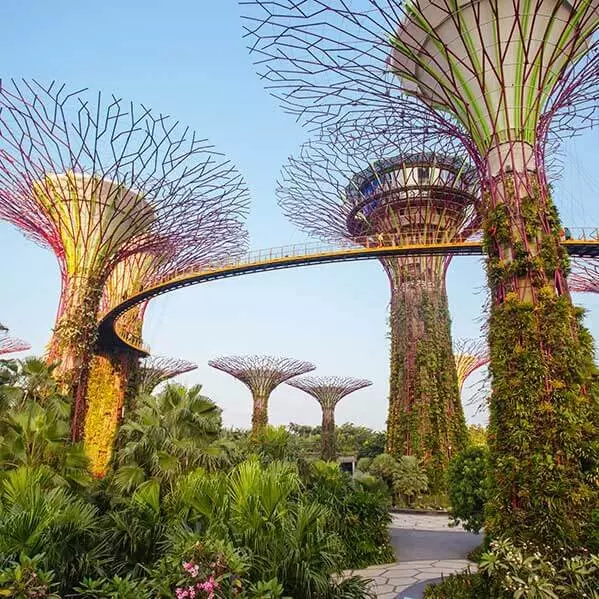 Tham quan Gardens by the bay trong tour Singapore