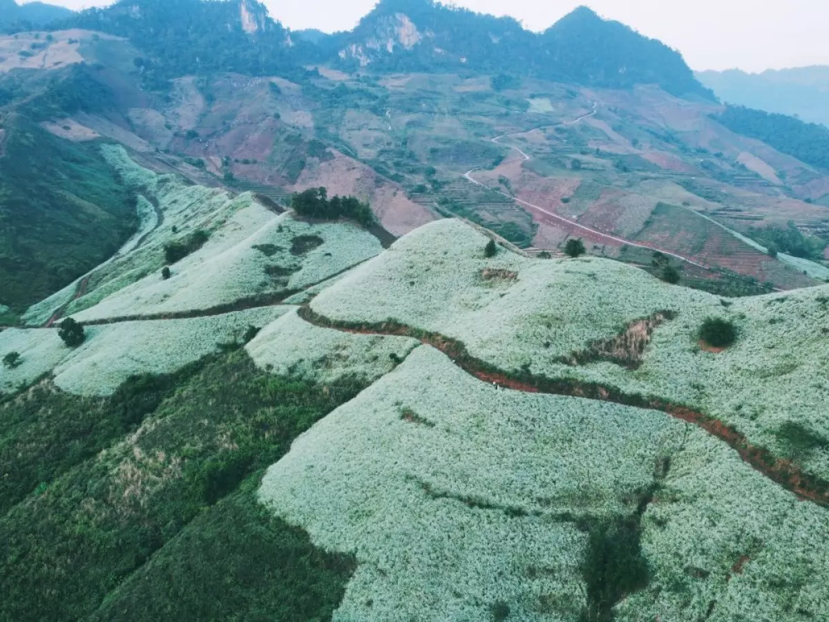 Sapa cách  <a href='https://kenvintravel.com.vn/moc-chau-a2101.html' title='mộc châu' class='hover-show-link replace-link-54'>mộc châu<span class='hover-show-content'></span></a>  bao nhiêu ki-lô-mét? Từ Mộc Châu có đi qua được Sapa không?