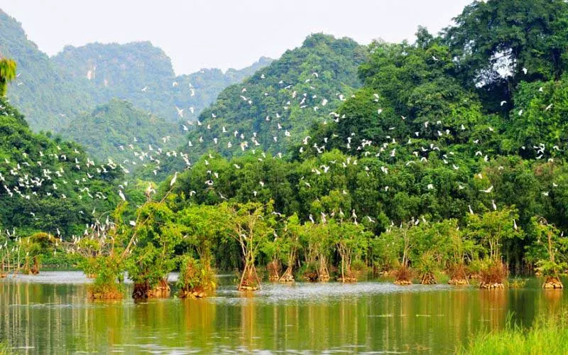 Khu sinh thái Thung Nham Ninh Bình