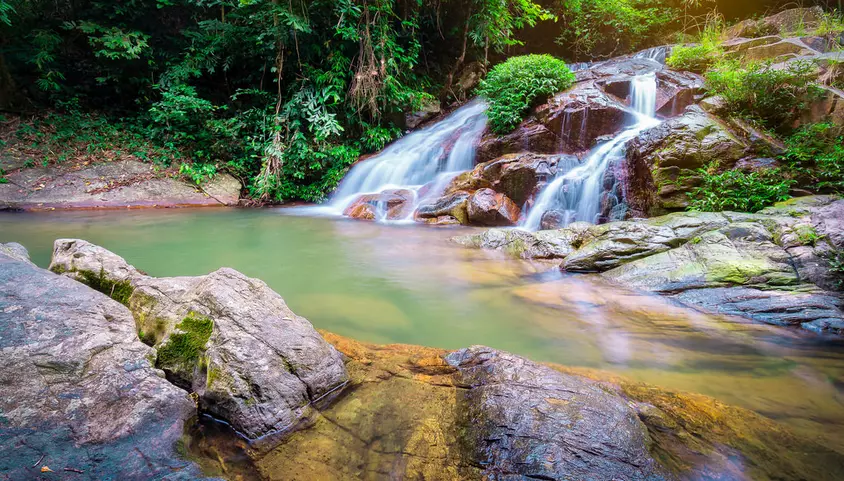 Khoang Xanh Suối Tiên