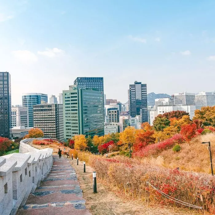 Công viên Namsan vào mùa thu