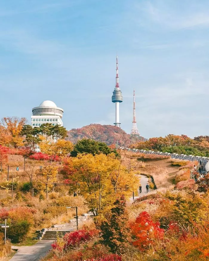 Phong cảnh công viên Namsan vào mùa thu