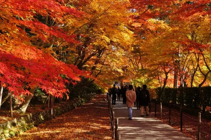 cố đô kyoto