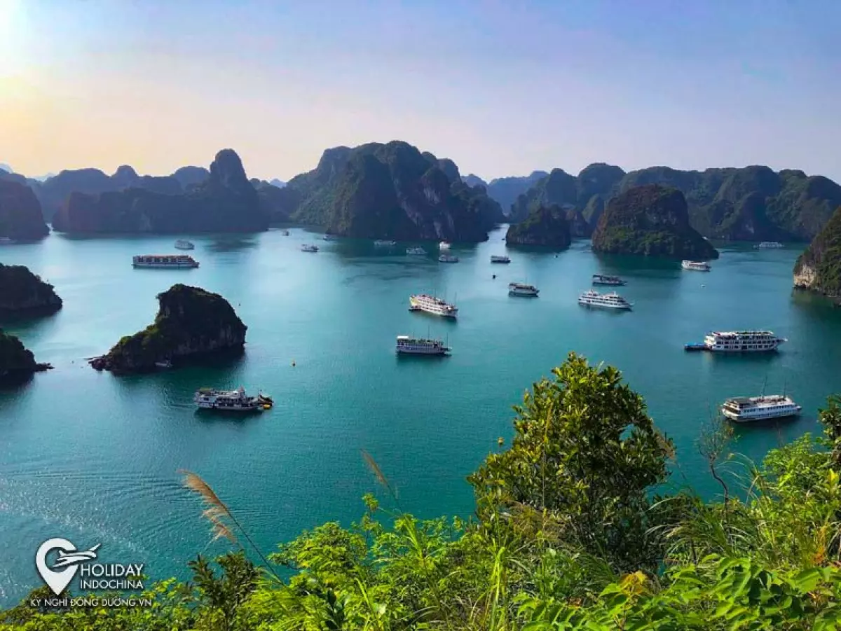 tour du lịch hạ long