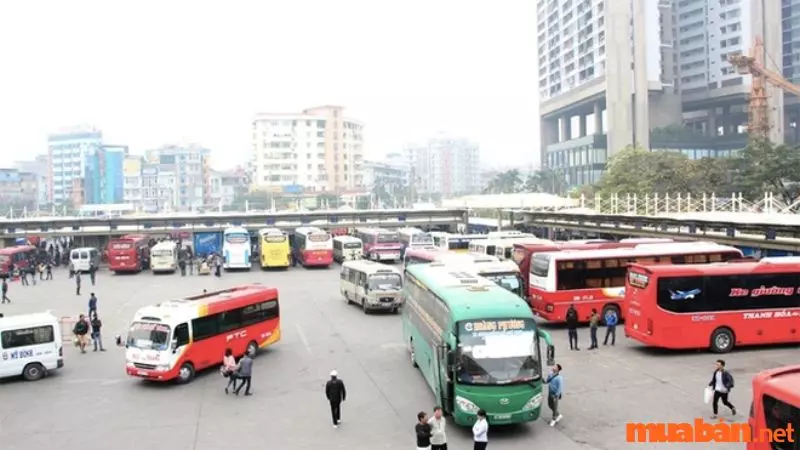 Gợi ý lịch trình đi Tam Đảo cụ thể siêu hấp dẫn