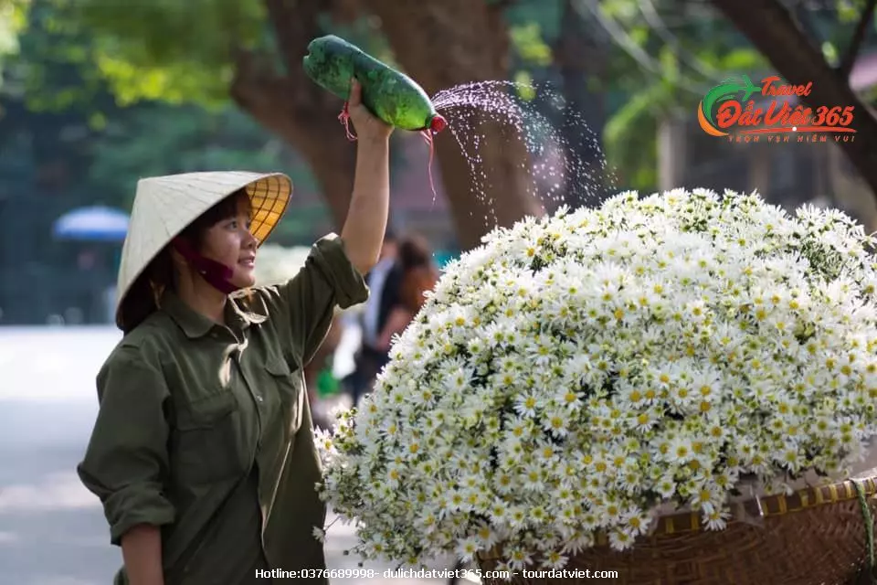 Mùa thu trên phố