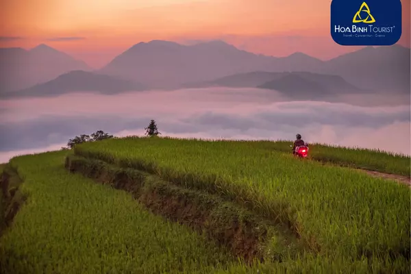 Ngắm nhìn Mù Căng Chải mùa hè với ruộng bậc thang ngả vàng