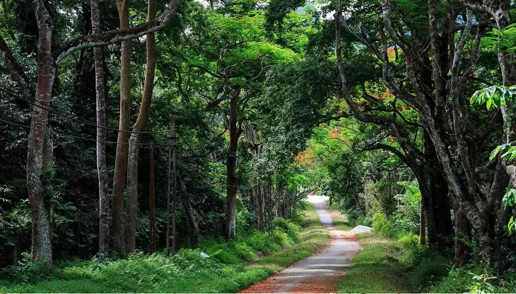 Thiên Sơn suối ngà