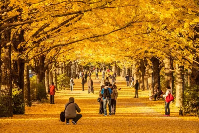 Công viên Ueno thu hút khách du lịch ghé thăm