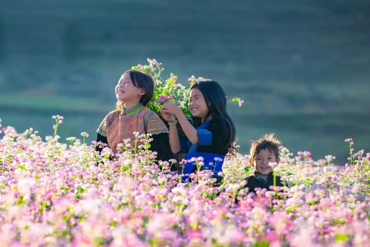 Du lịch Hà Giang khám phá mùa hoa tam giác mạch