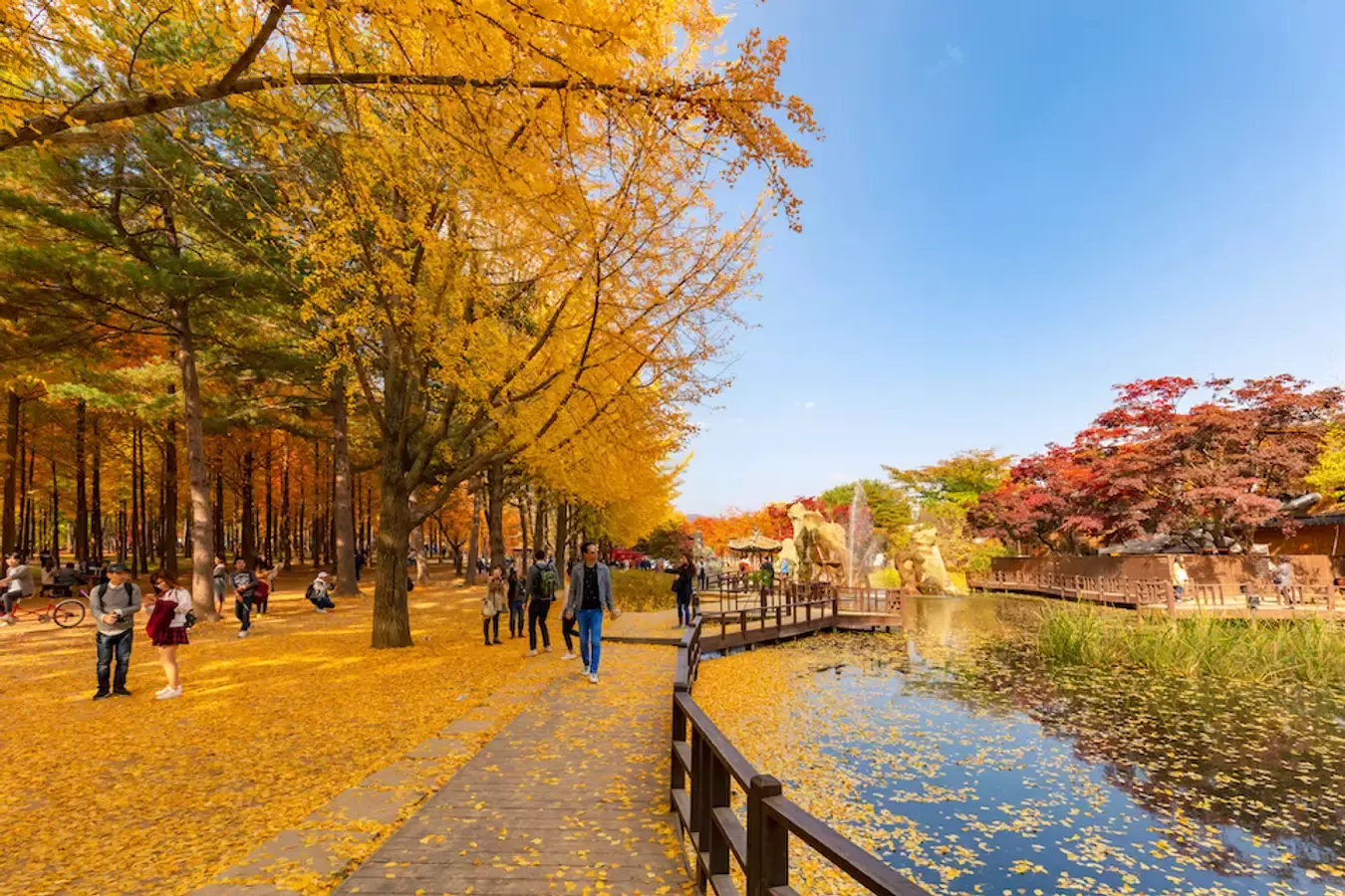 Tour du lịch Busan 7 ngày 6 đêm