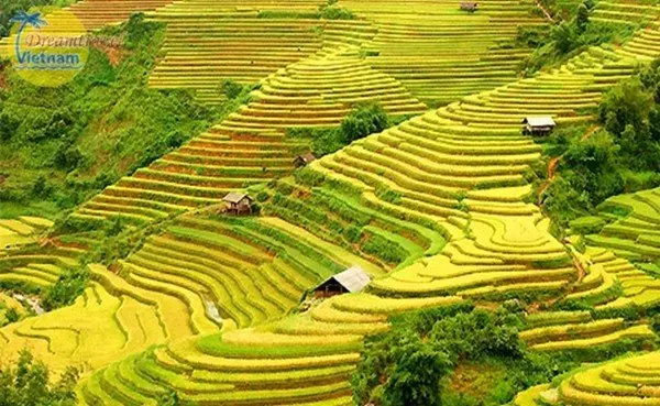 Ruộng bậc thang Hà Giang