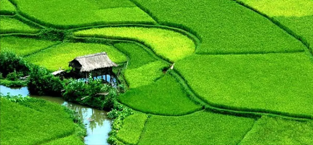 Mai Chau