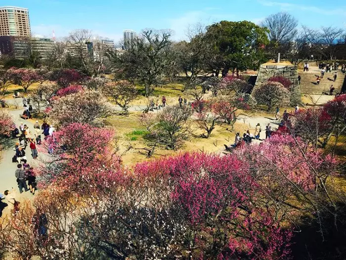 Công viên Ohori