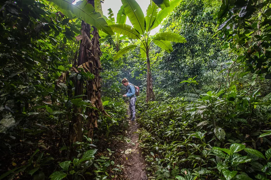 Hoạt động ở Phong Nha