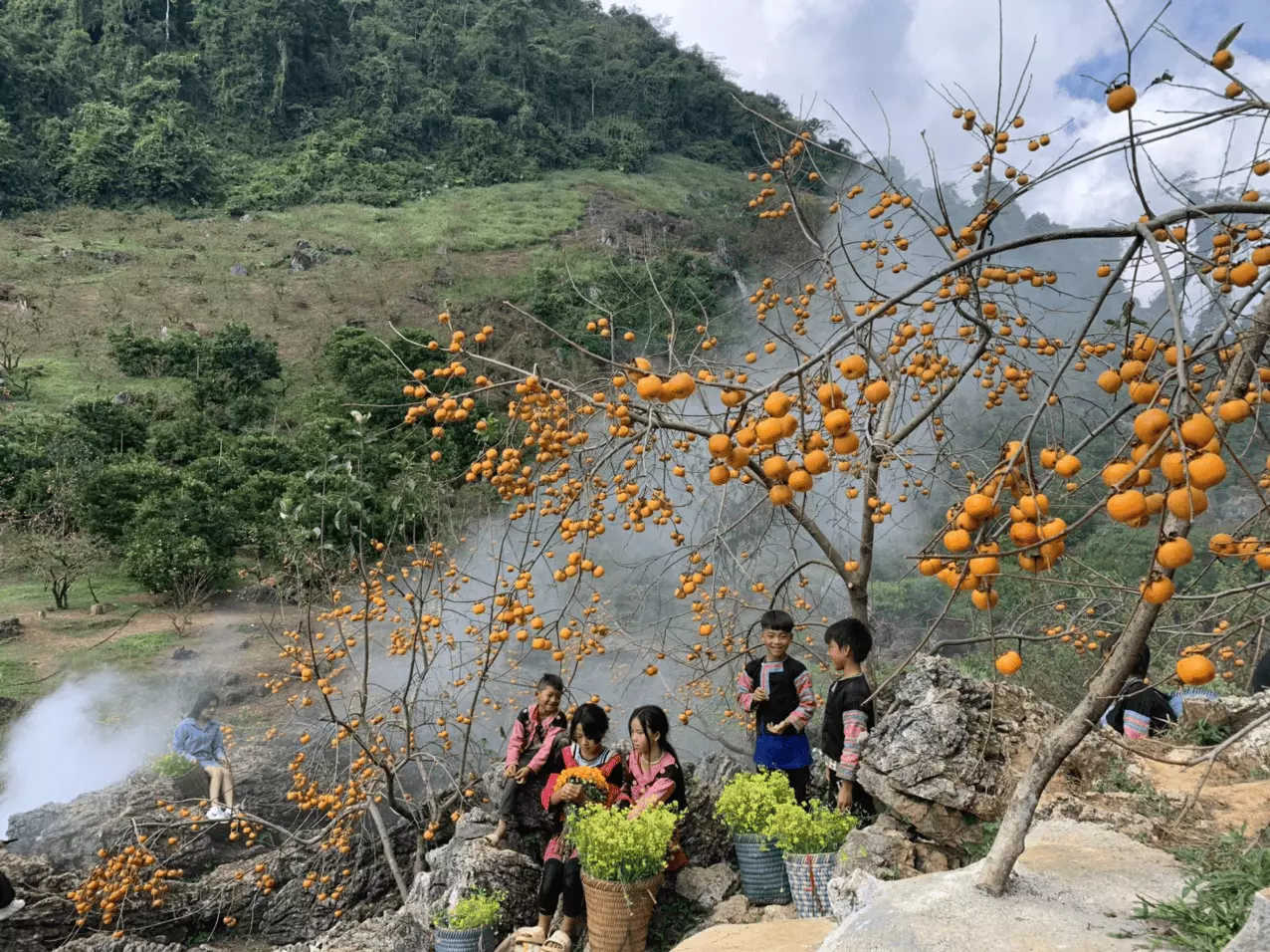 Thưởng thức những quả hồng tại Mộc Châu