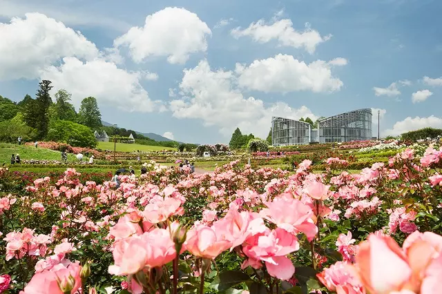 Ibaraki Flower Park