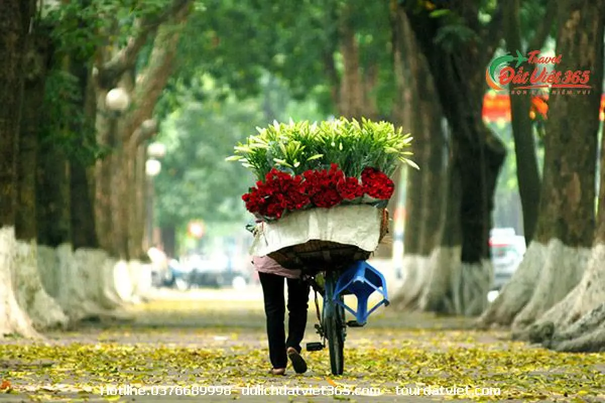 Gánh hàng hoa