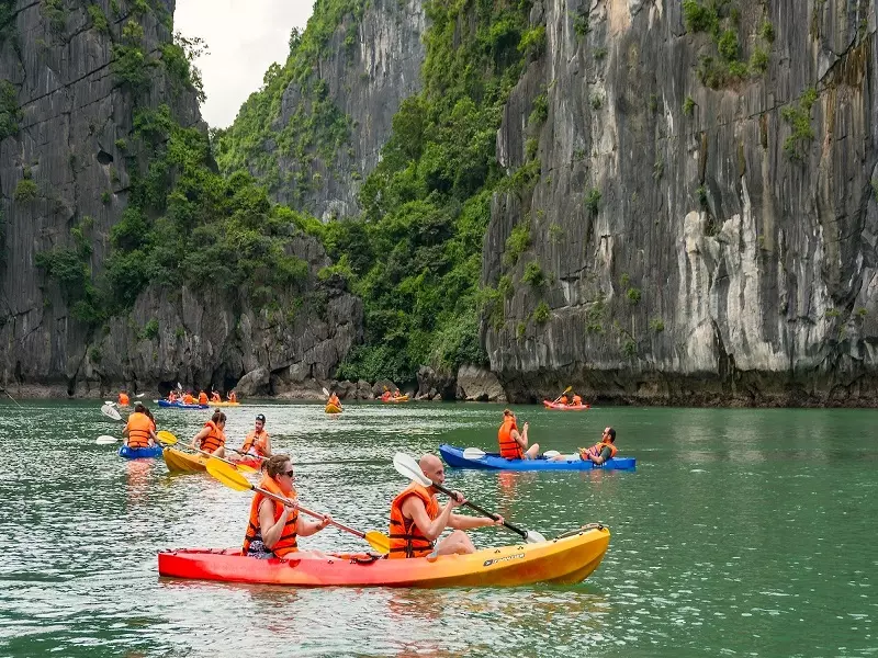 Cabin sang trọng với thiết kế tối giản