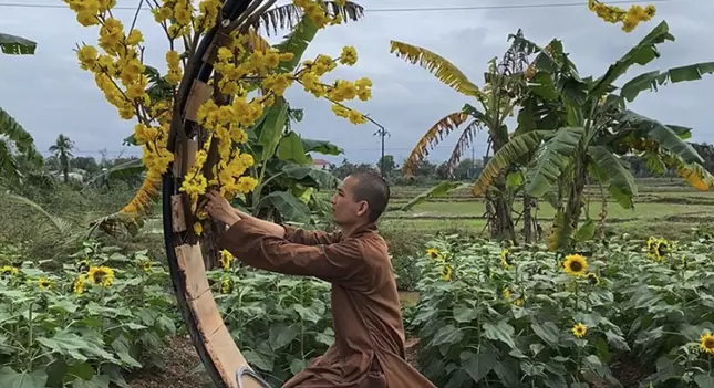 Hình ảnh do các chùa cung cấp