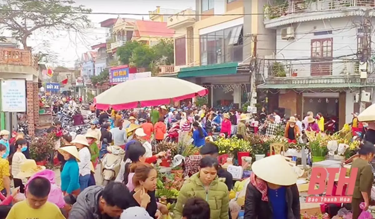 Tết ở làng biển