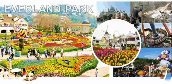 Vui chơi Công viên giải trí Everland với nhiều trò chơi hấp dẫn