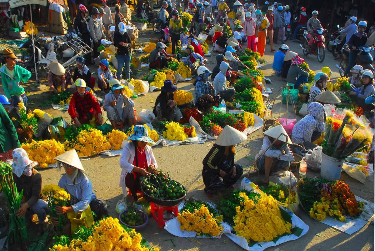 du lịch tết