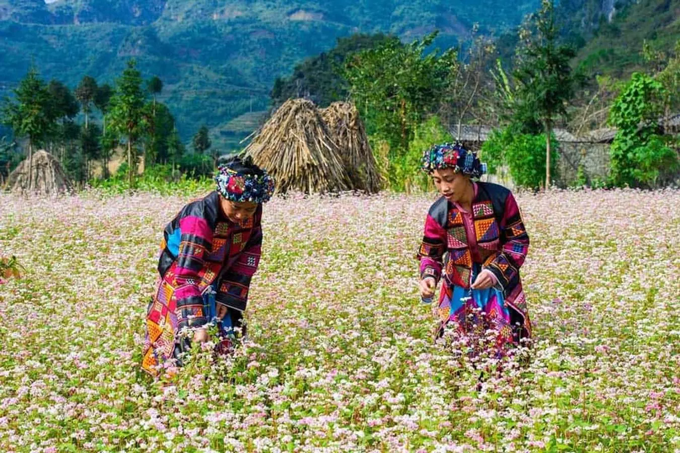 Khám phá vẻ đẹp tuyệt vời ở 6 địa điểm du lịch phía Bắc