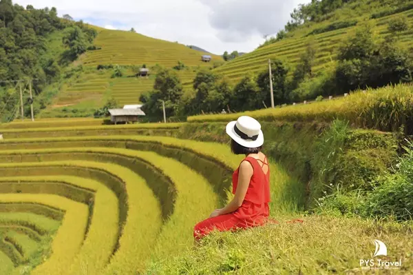 chế cu nha