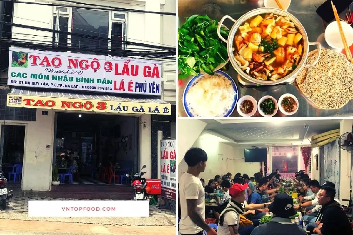 Lẩu gà lá é Tao Ngộ