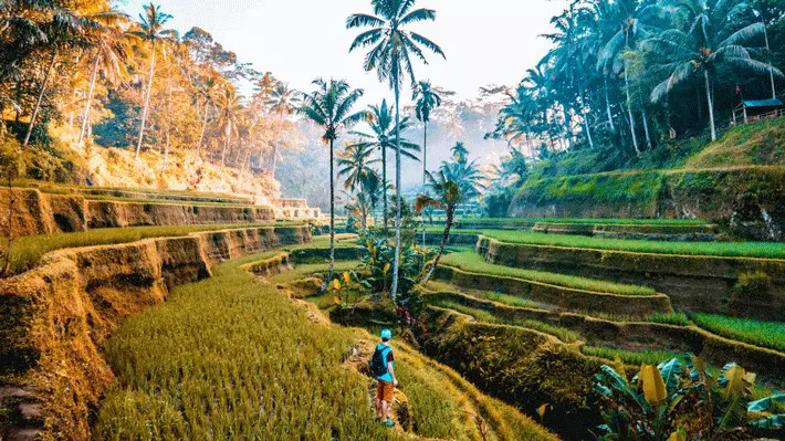 Ubud Area - Ayung Water Fall