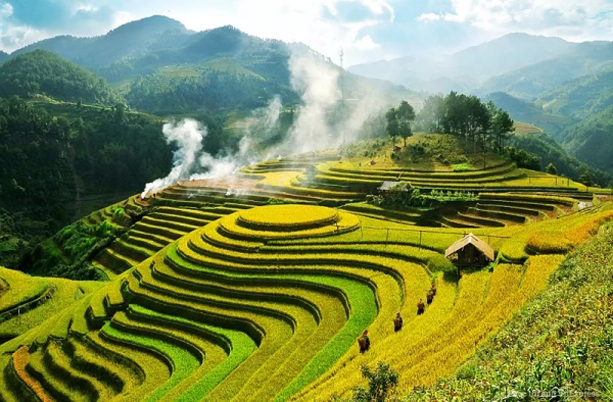 Tour Mù Cang Chải - Tú Lệ