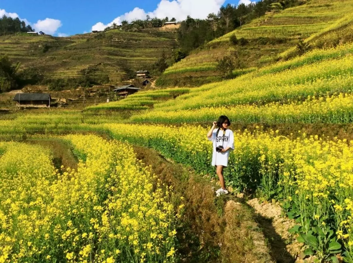 Kinh nghiệm du lịch Mù Căng Chải Yên Bái: Ăn gì, ở đâu, địa điểm tham quan