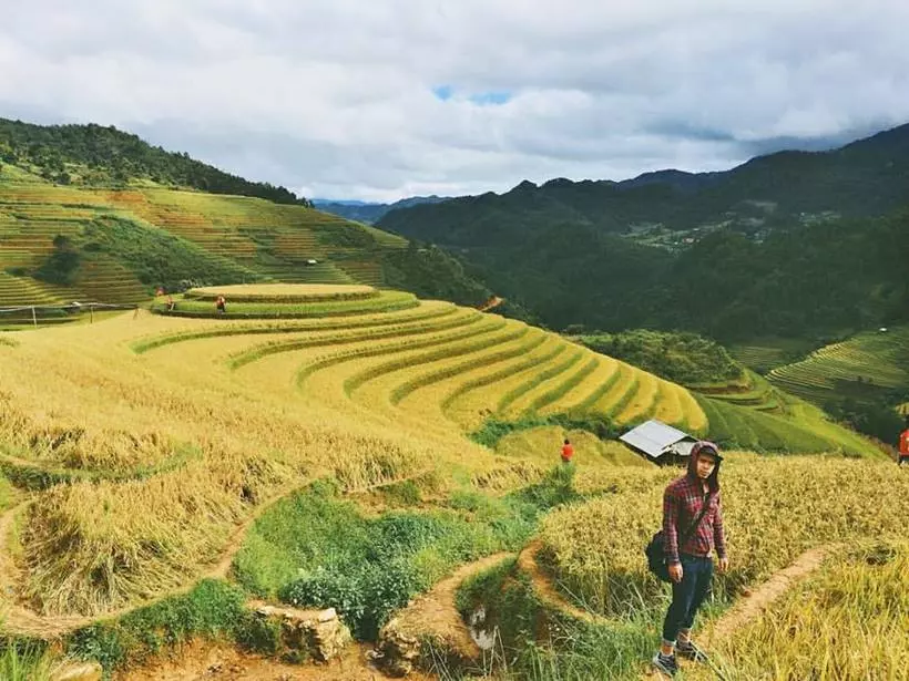 Kinh nghiệm du lịch Mù Căng Chải Yên Bái: Ăn gì, ở đâu, địa điểm tham quan