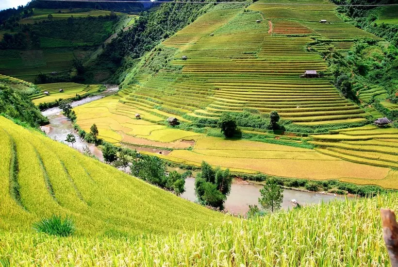 Kinh nghiệm du lịch Mù Căng Chải Yên Bái: Ăn gì, ở đâu, địa điểm tham quan