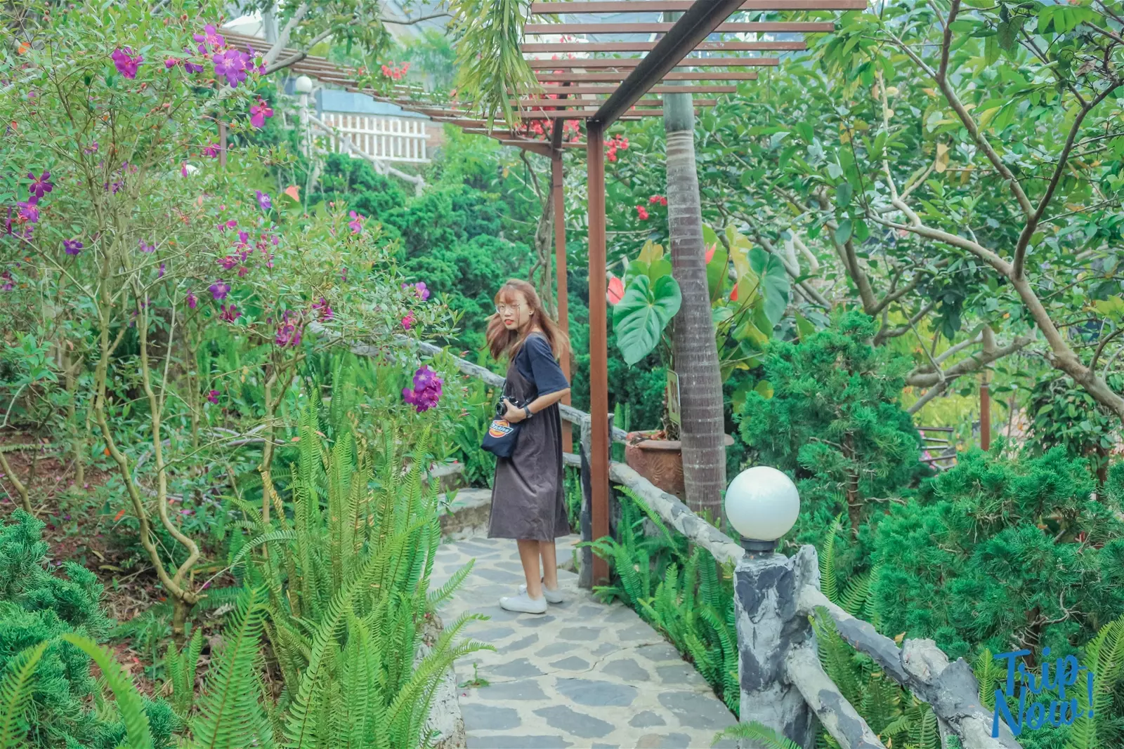 Lạc lối khu resort gỗ ngập hoa có “hồ bơi view tràn thung lũng” ở Đà Lạt