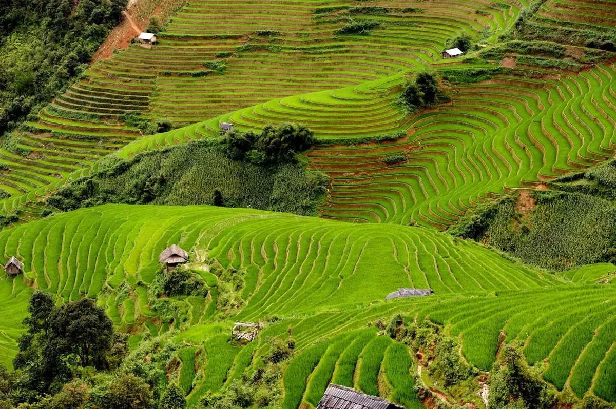 Ruộng bậc thang Dế Xu Phình đẹp say lòng người