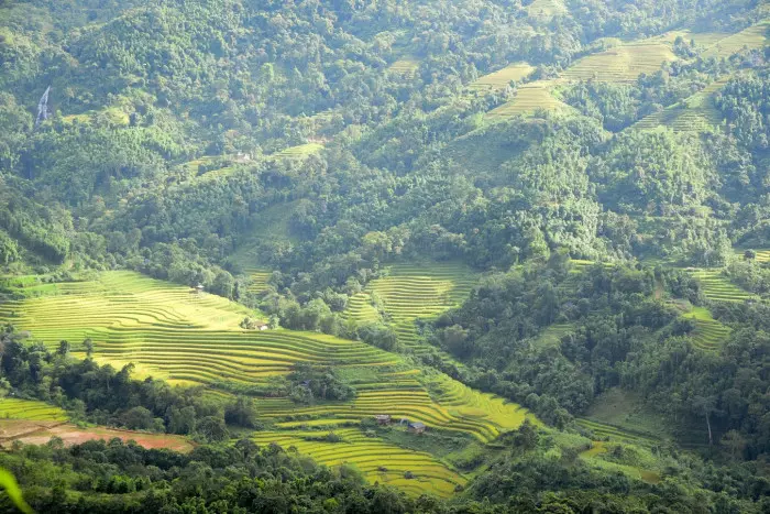 vẻ đẹp của ruộng bậc thang Hoàng Su Phì