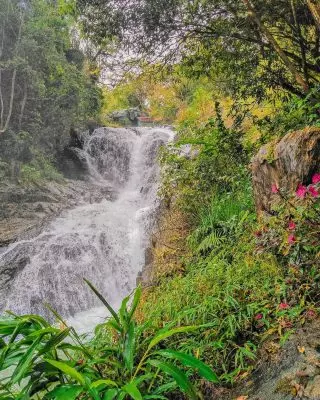 Du lịch Đà Lạt