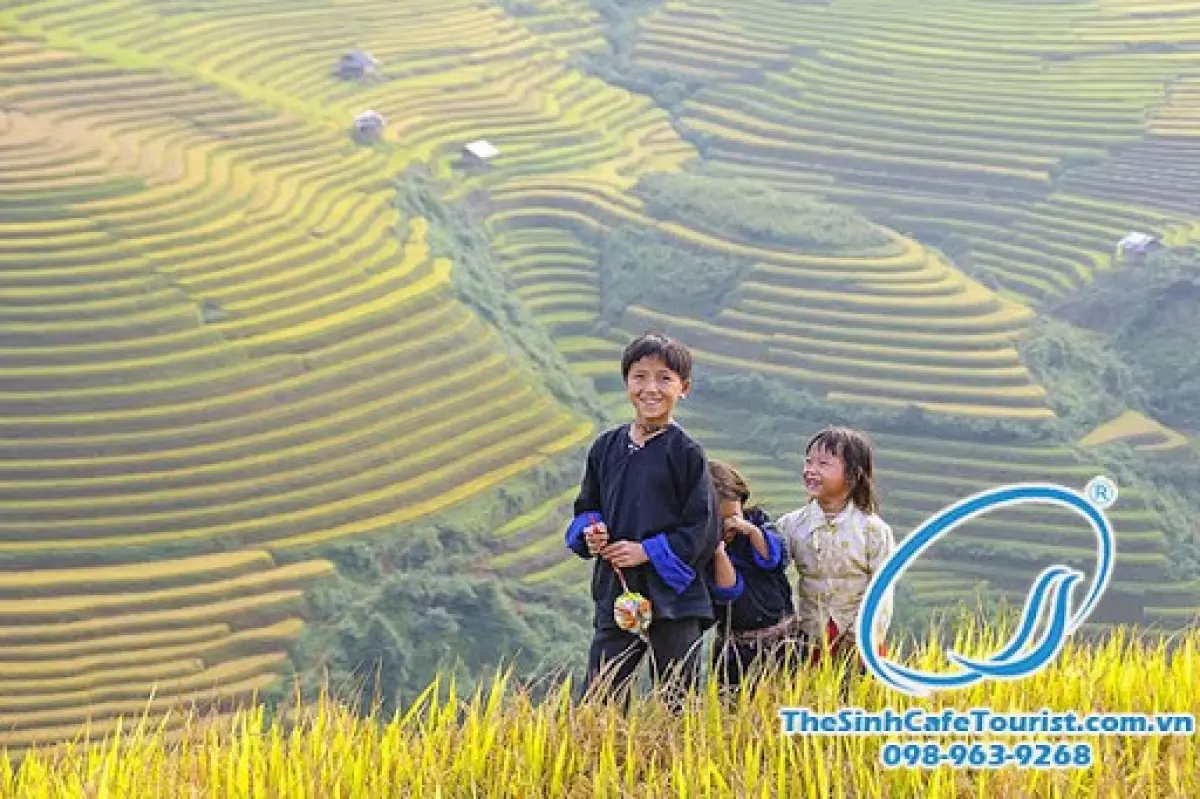 Mu Cang Chai