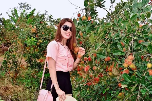 Trải nghiệm vườn cây ăn quả tại Vinh Sang