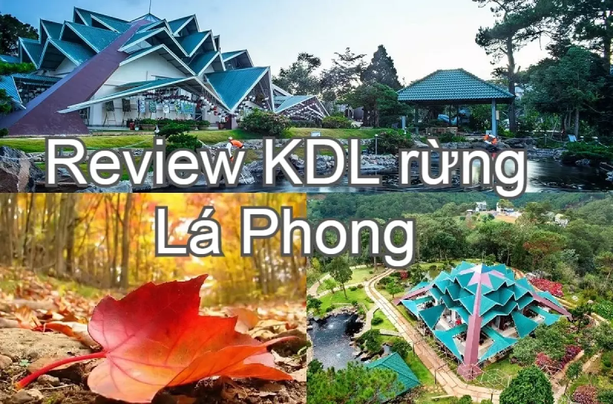 Hướng dẫn đi khu du lịch rừng Lá Phong Đà Lạt