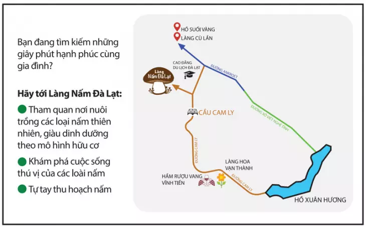 Khám phá Làng nấm Đà Lạt - Điểm tham quan mới lạ và độc đáo