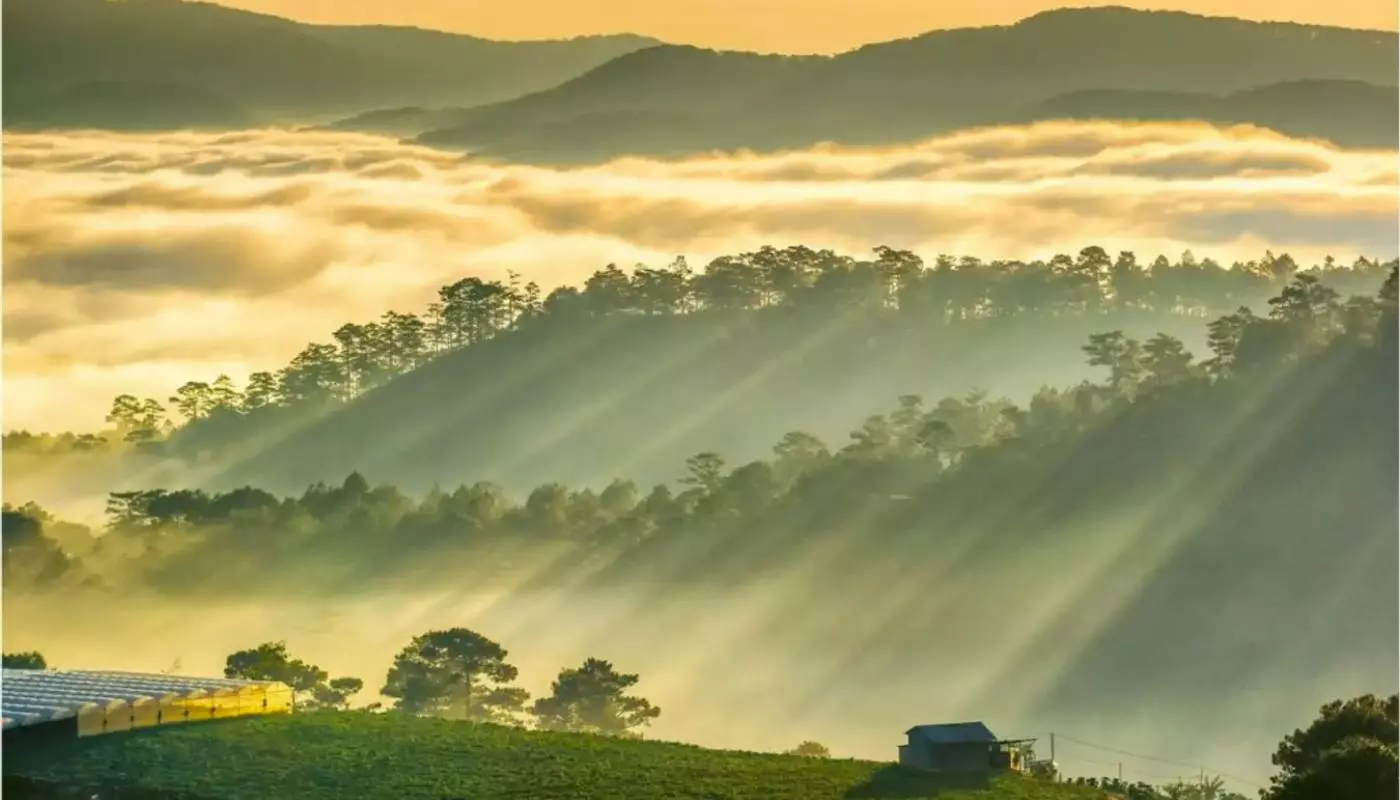 Săn mây tại Trại Mát Đà Lạt