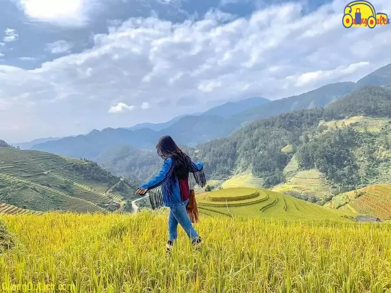 Mu Cang Chai