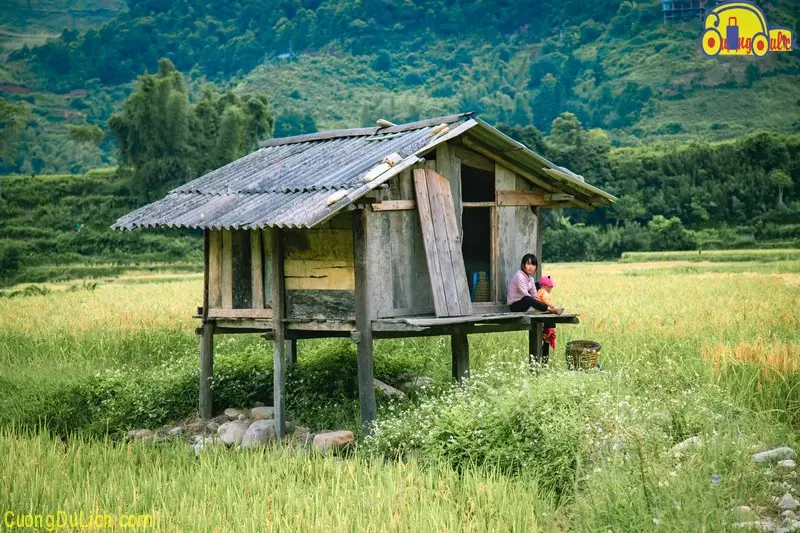 Mu Cang Chai