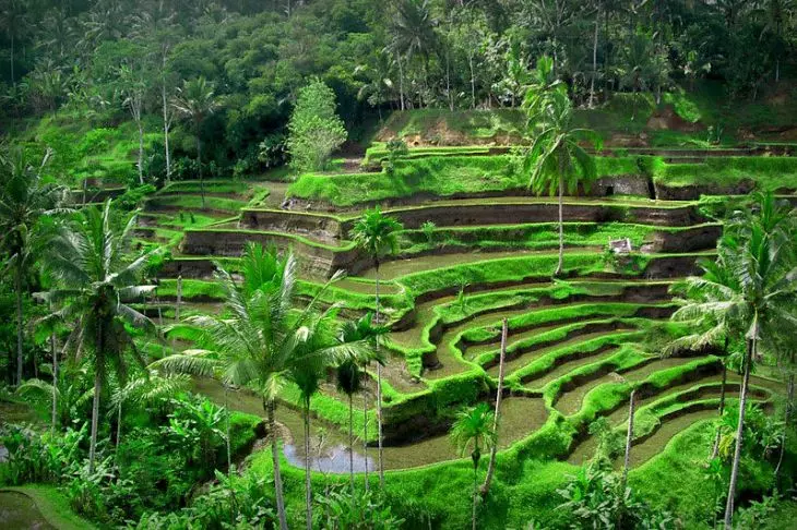 Làng Ubud